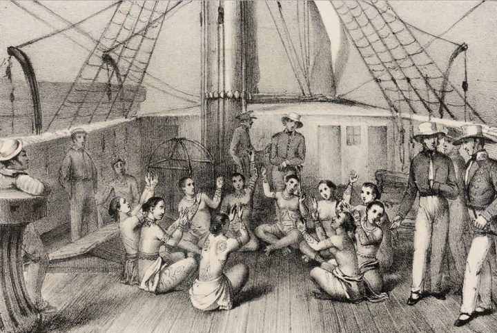 Voyage autour du monde de l'Astrolabe et de la Zélée sous les ordres du contre amiral Dumont d'Urville pendant les années 1837 à 1840, Paris, 1844.
